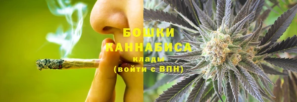 шишки Баксан