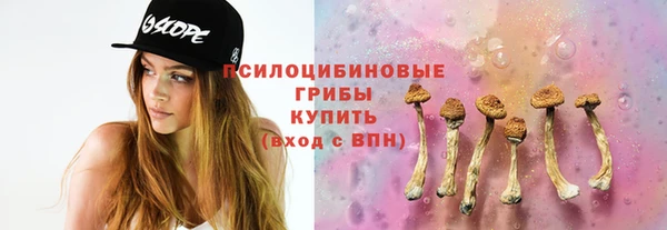 молекула духа Балабаново
