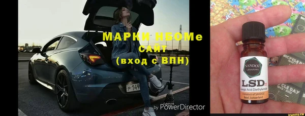 шишки Баксан