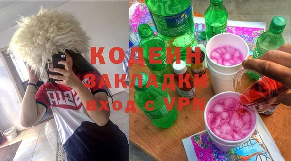 индика Сатка