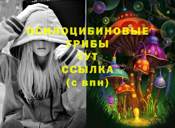 шишки Баксан