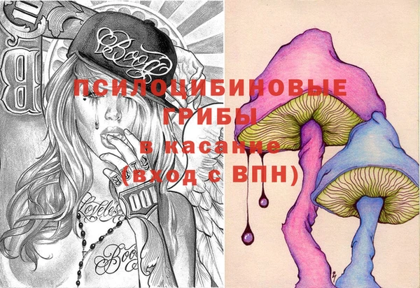 шишки Баксан