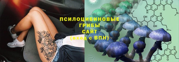 винт Сафоново